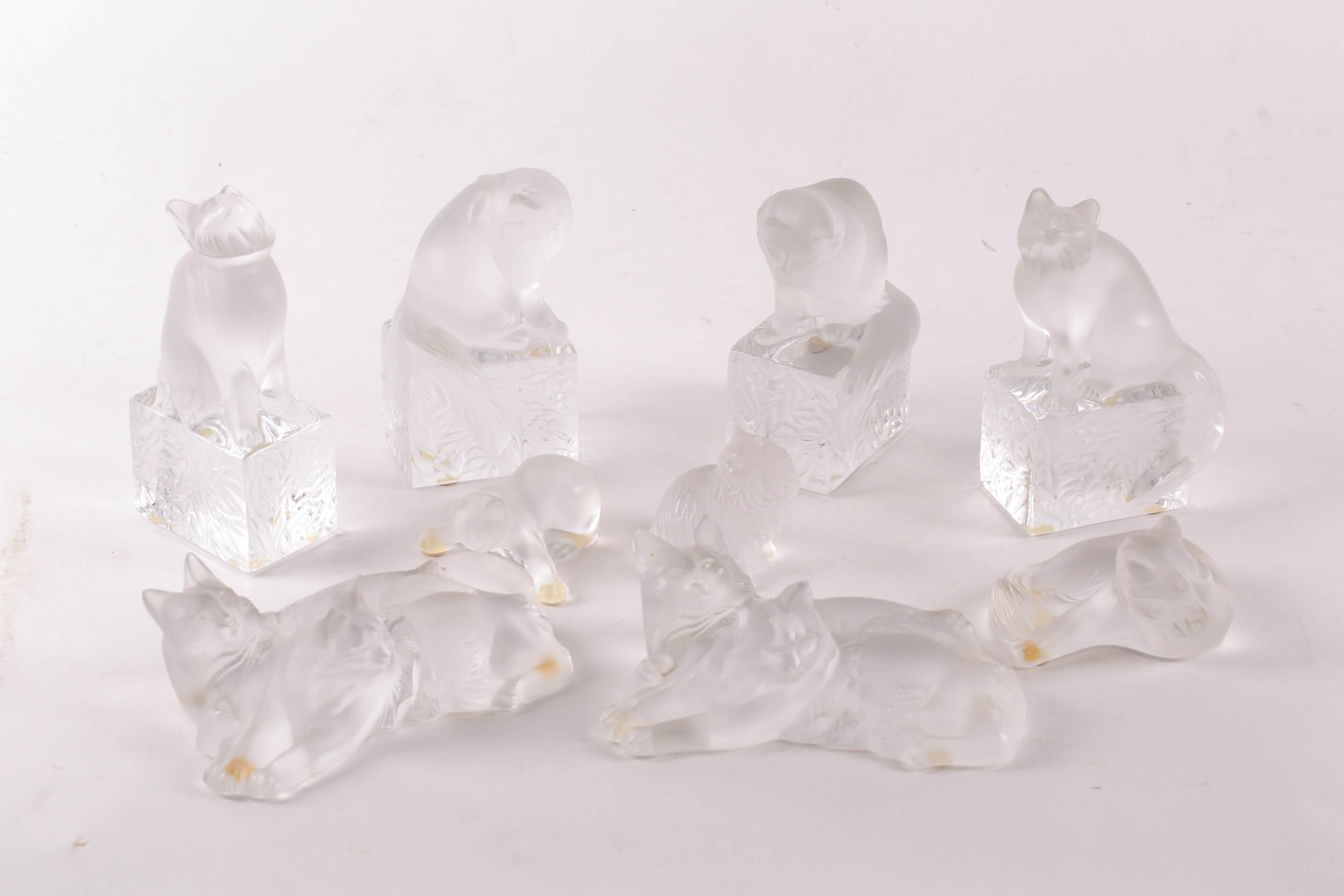 Eight Lalique frosted cat figures